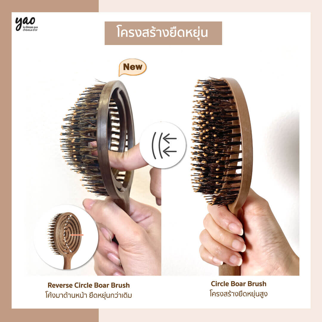 Yao,Yao Reverse Circle Boar Brush, หวีขนหมูป่า,หวี,หวีขนหมู